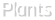 Plants